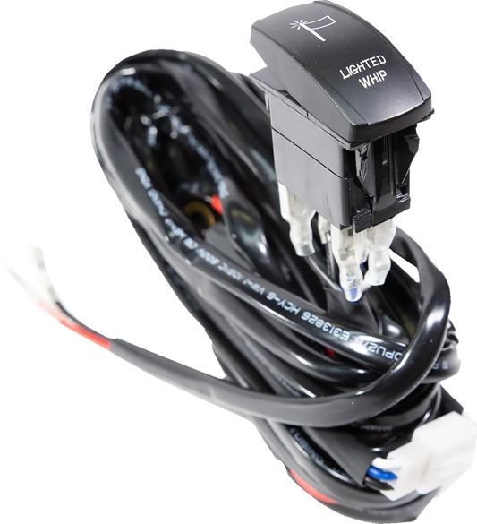 Rocker Switch with Harness