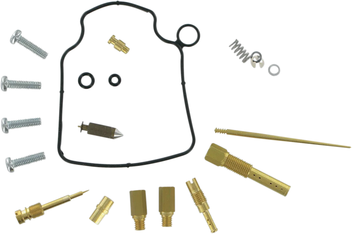 Carburetor Repair Kit