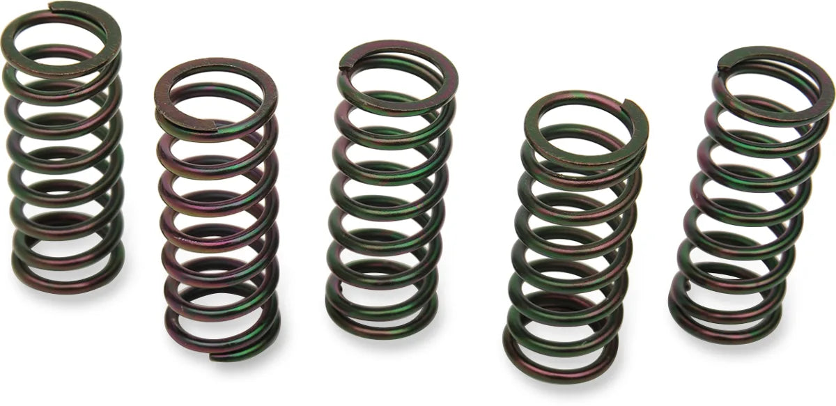 Clutch Spring Kit