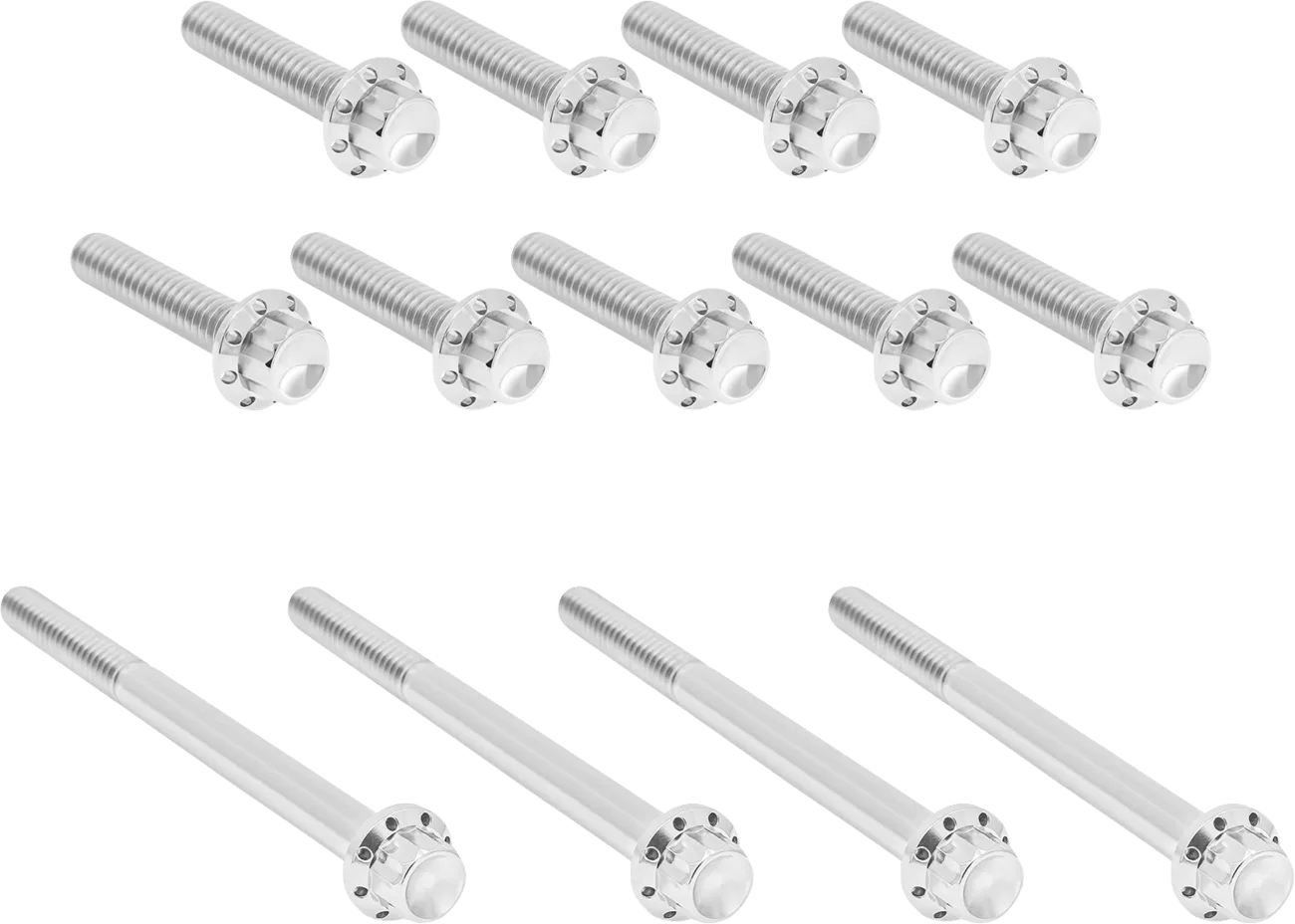 Outer Primary Cover Titanium 12-Point Bolt Kit
