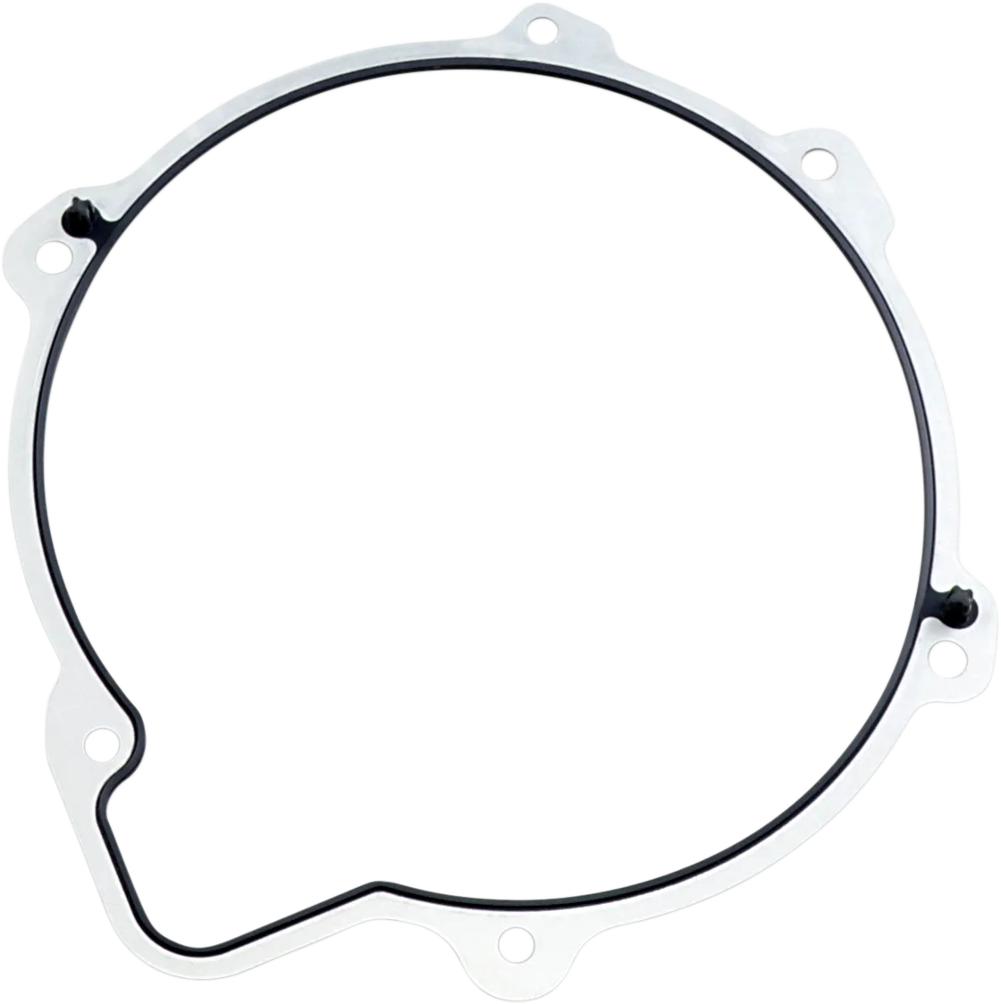 Primary Gasket