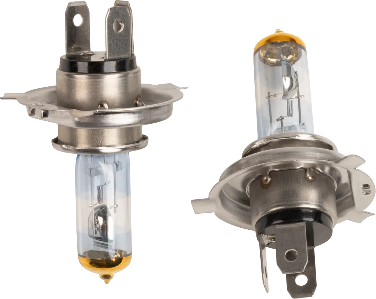 Halogen Bulbs