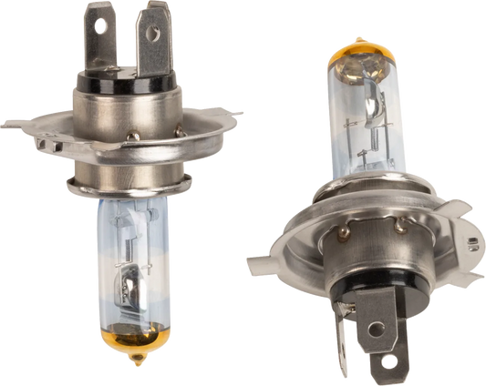 Halogen Bulbs