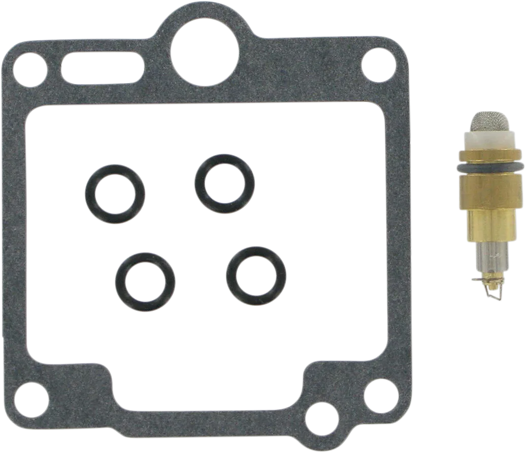 Carburetor Repair Kit