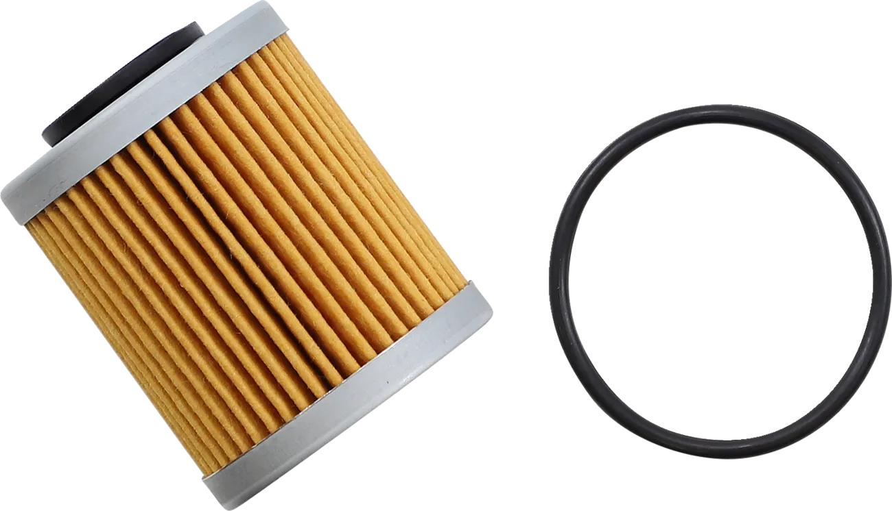Oil Filter — Cartridge