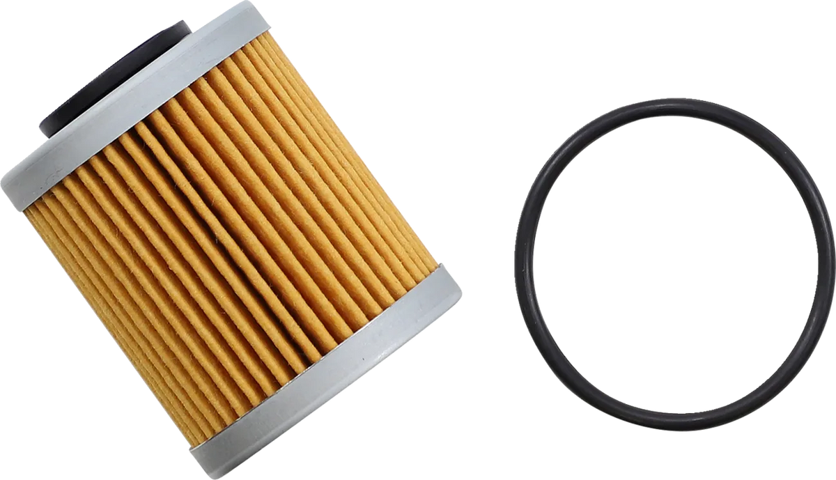 Oil Filter — Cartridge