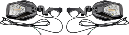 SXS Mirror