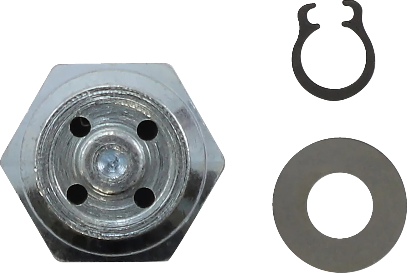Shock Check Valve
