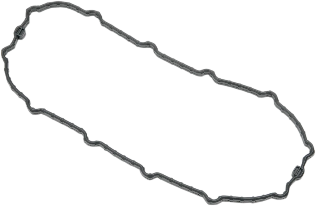 Fuel Pump Door Seal