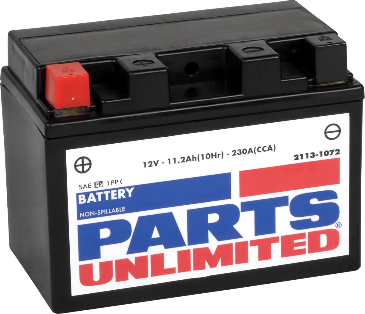 Factory-Activated AGM Maintenance-Free Battery