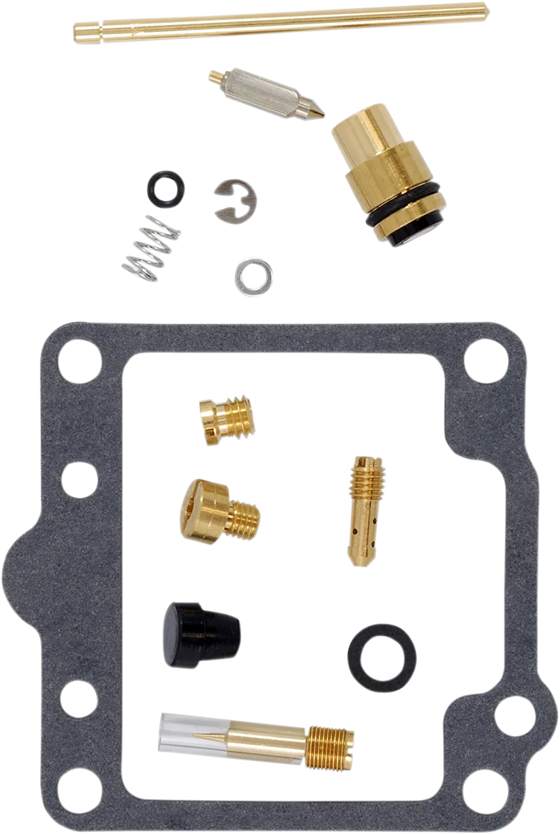 Carburetor Repair Kit