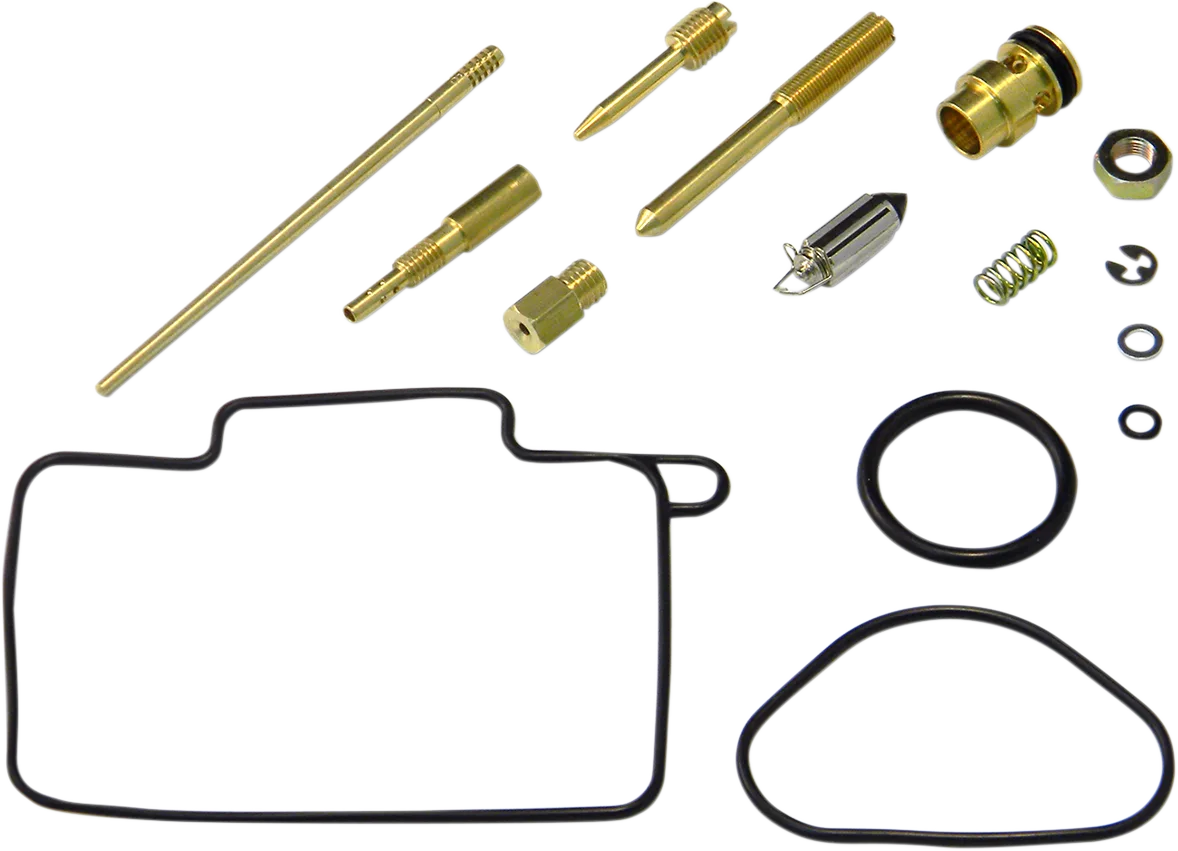 Carburetor Repair Kit