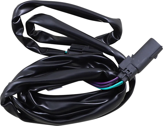 Rear Speaker Harness