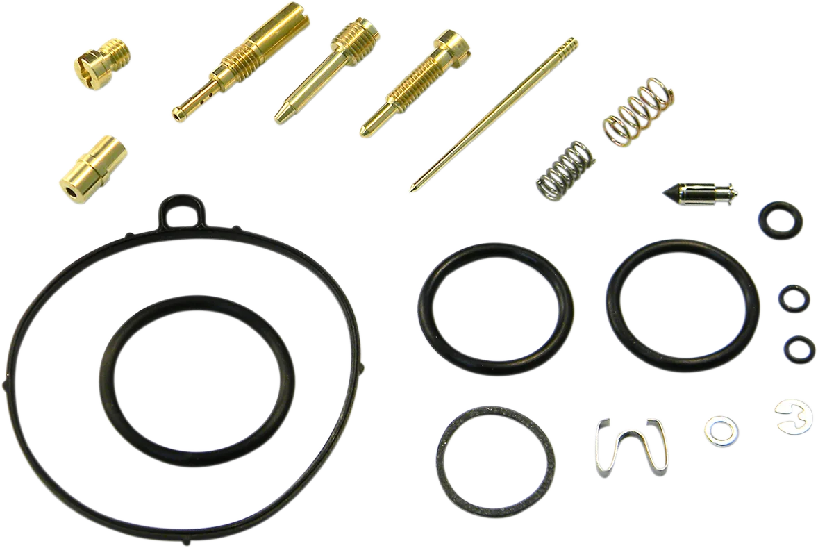 Carburetor Repair Kit