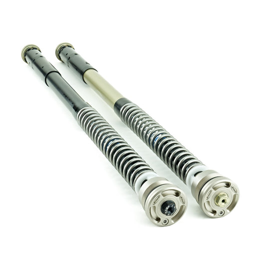 Front Fork Cartridge TRDS-R DUCATI PANIGALE V4S OHLINS