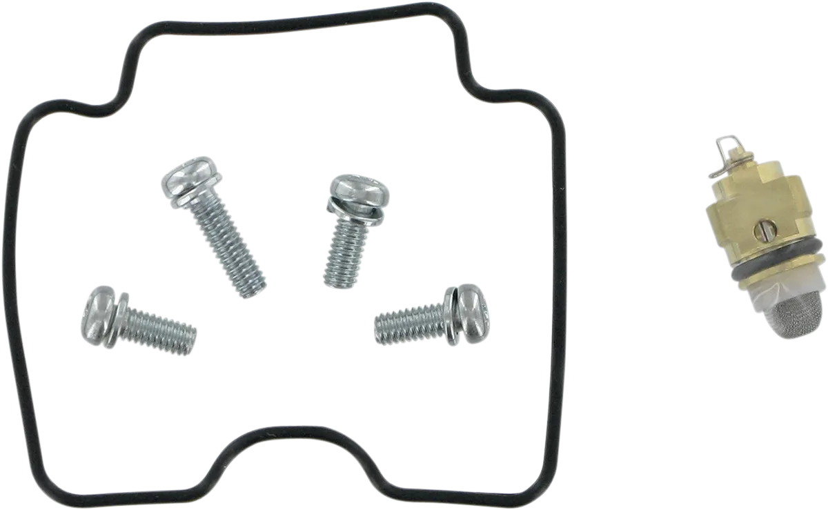 Carburetor Repair Kit