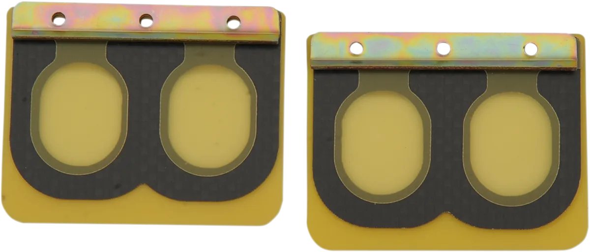 Replacement Pro Series Reed Set for RAD Valve