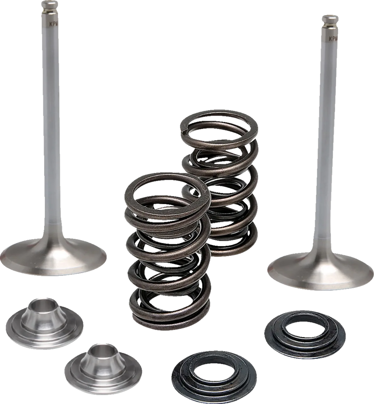 Valve and Spring Kit