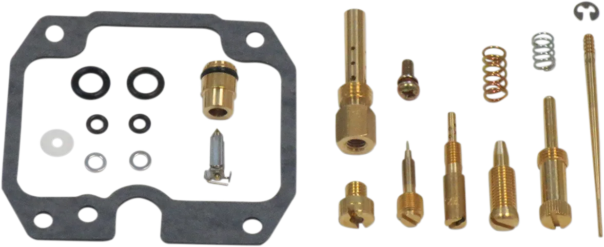 Carburetor Repair Kit