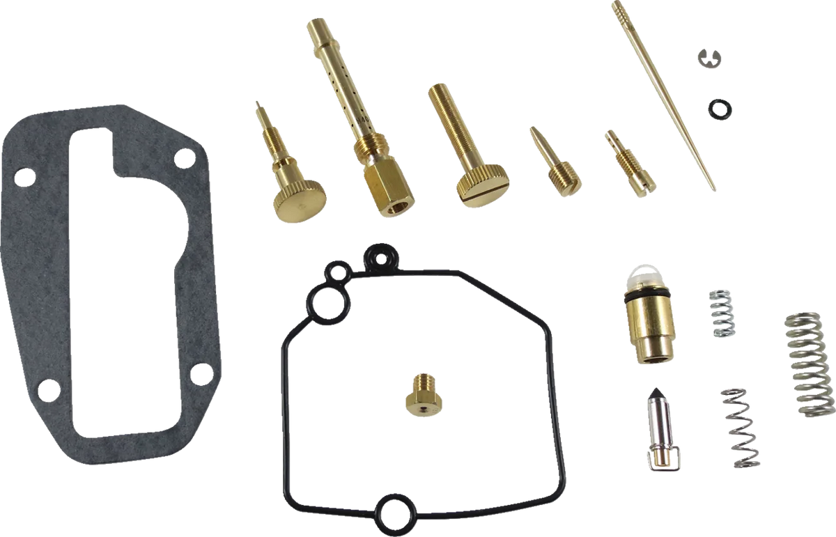 Carburetor Repair Kit