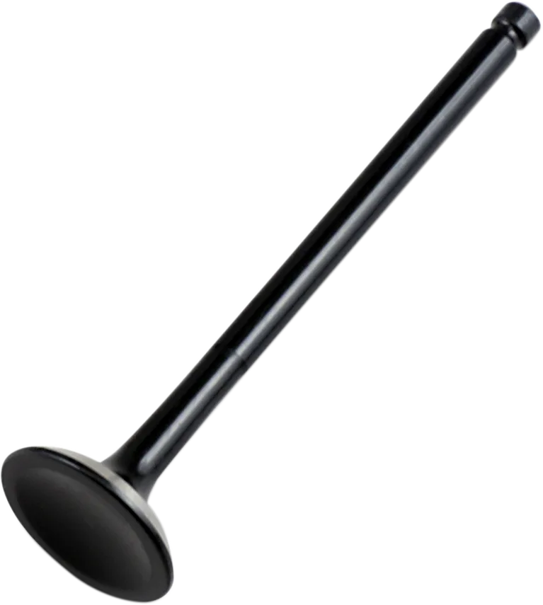 Replacement Valve
