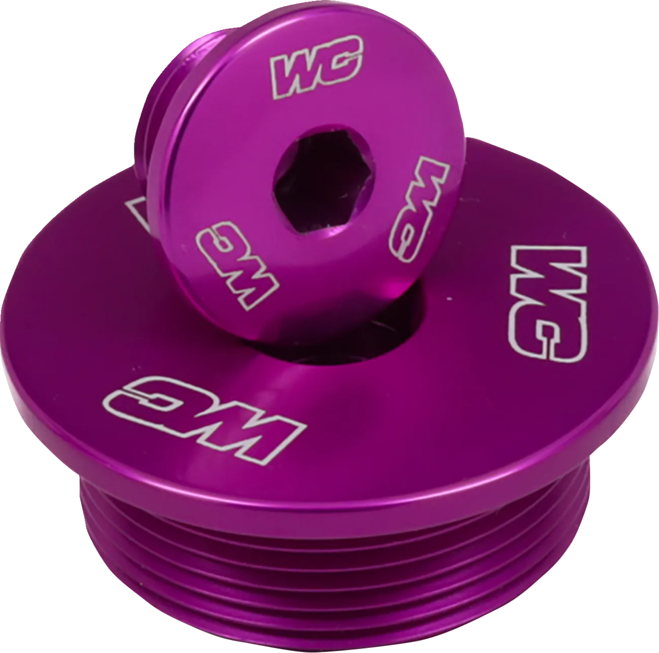 Engine Plug