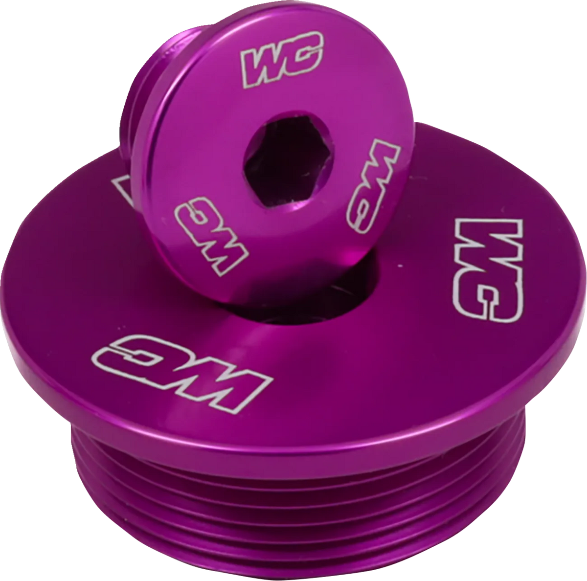 Engine Plug