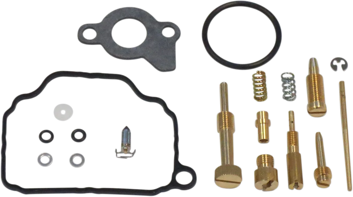 Carburetor Repair Kit