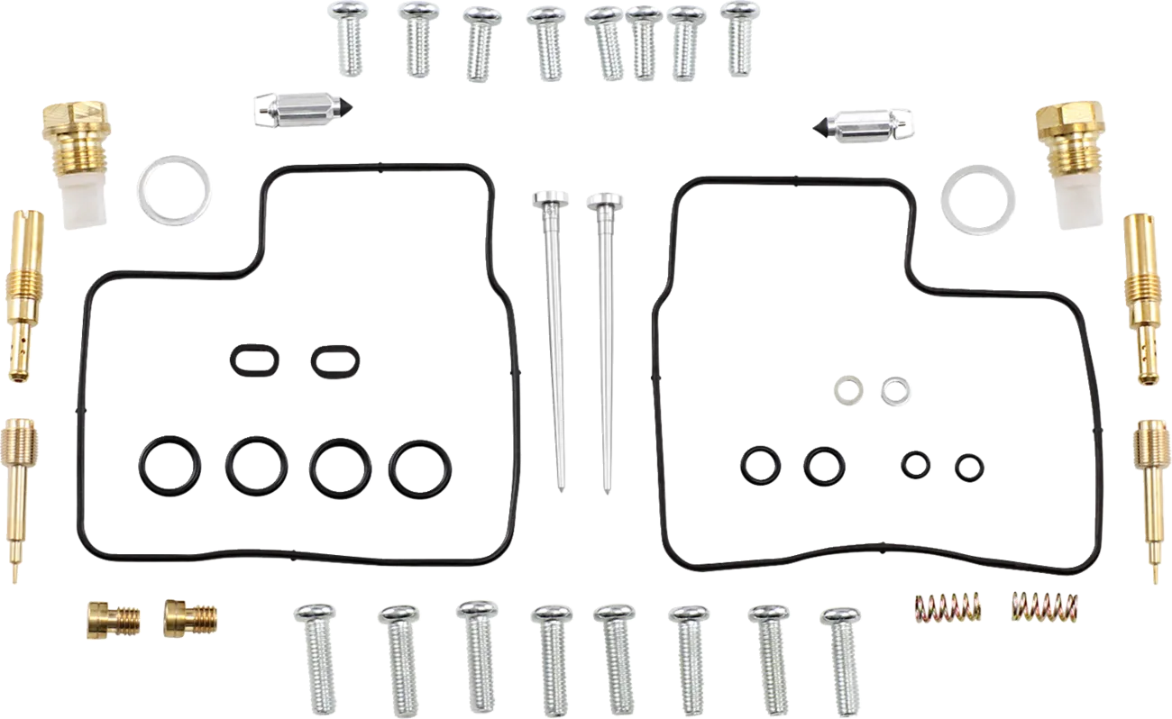 Carburetor Repair Kit