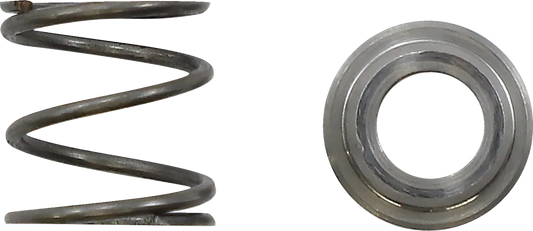 Adjuster Spring