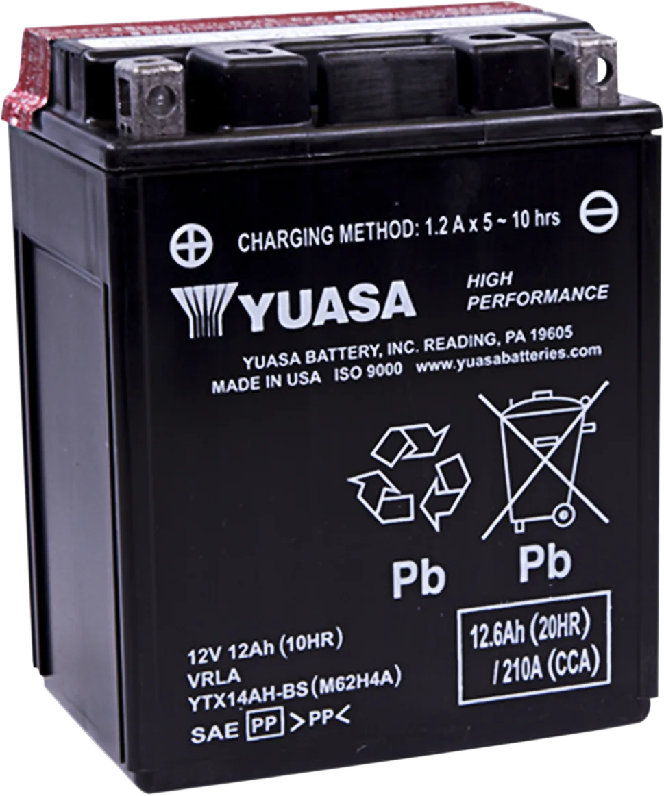 High Performance AGM Maintenance-Free Battery