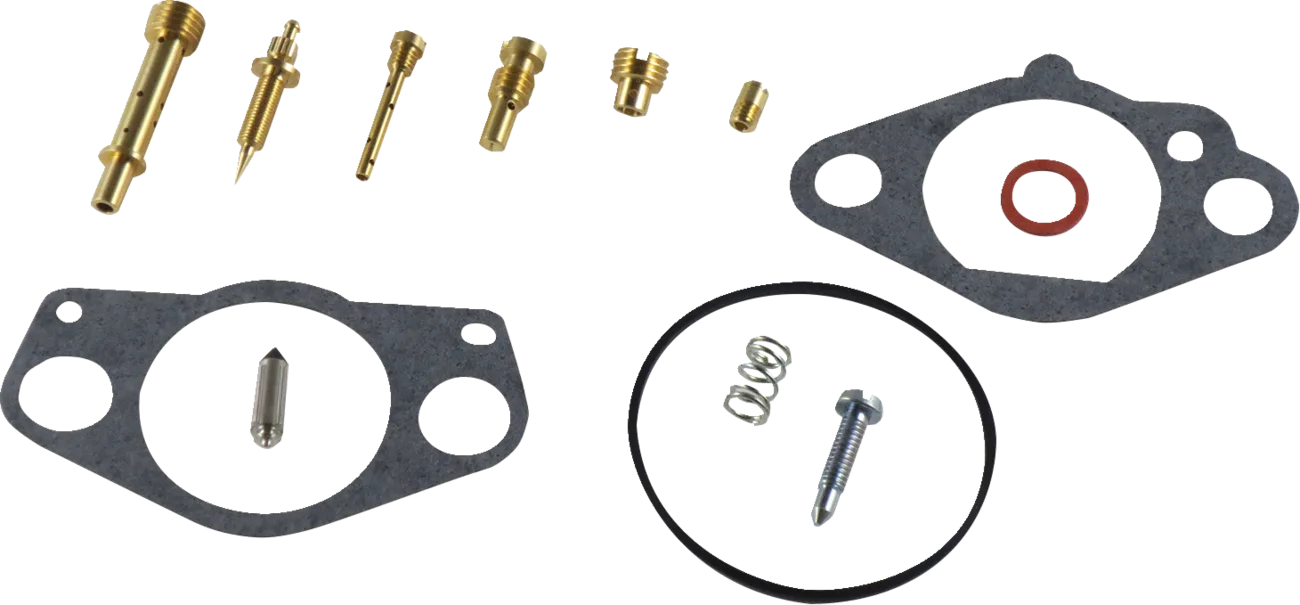 Carburetor Repair Kit