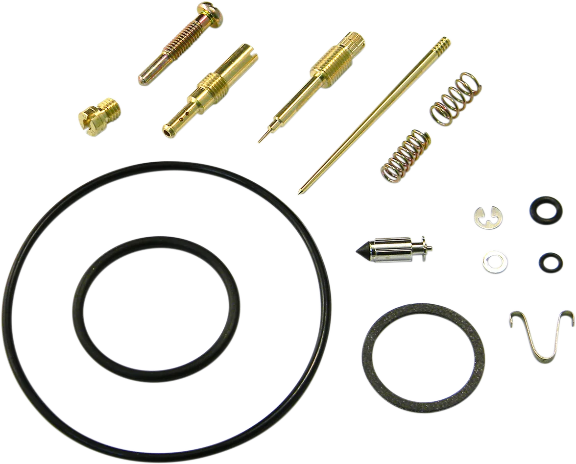 Carburetor Repair Kit