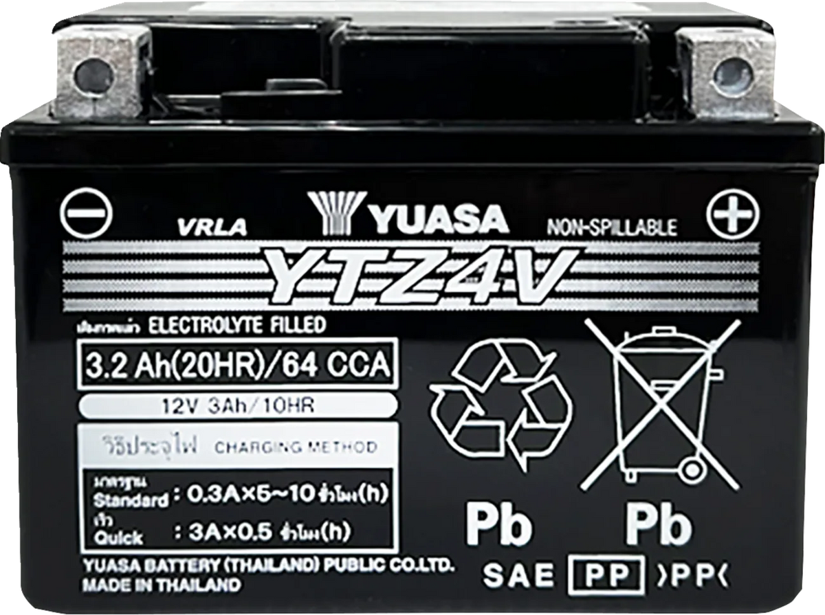 AGM Maintenance-Free Battery