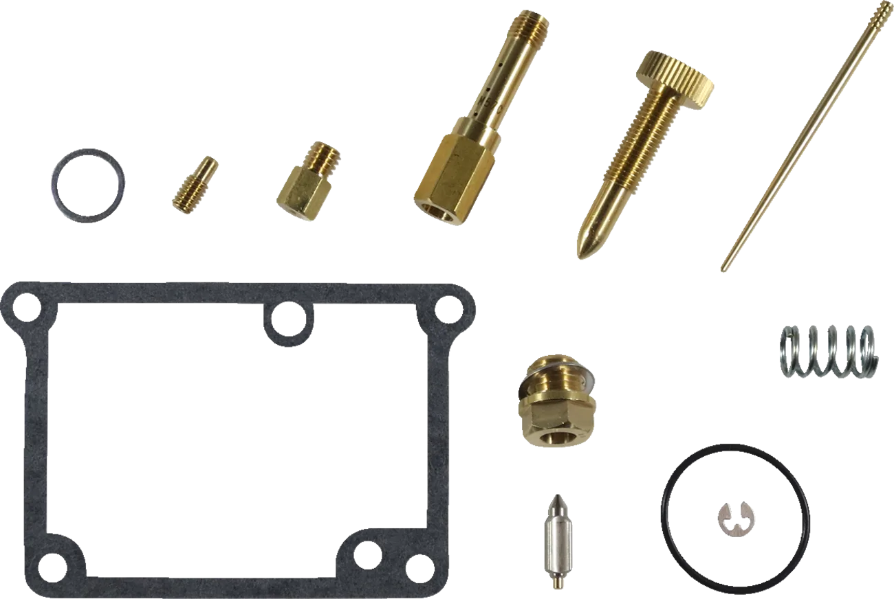 Carburetor Repair Kit