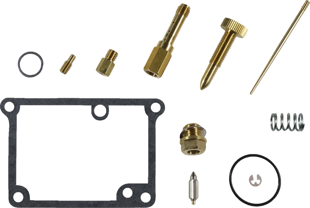 Carburetor Repair Kit