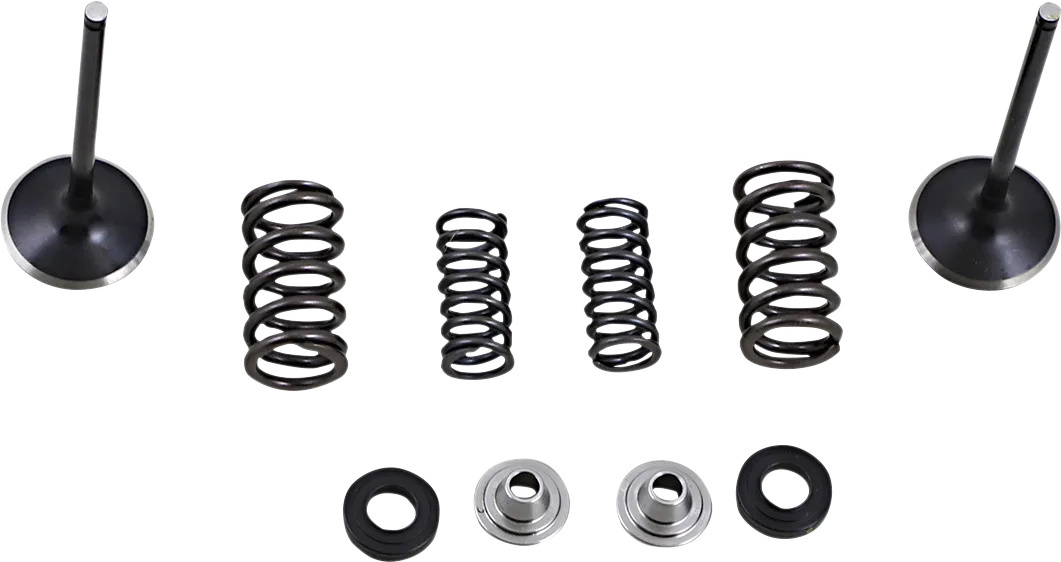 Intake Valve and Spring Kit