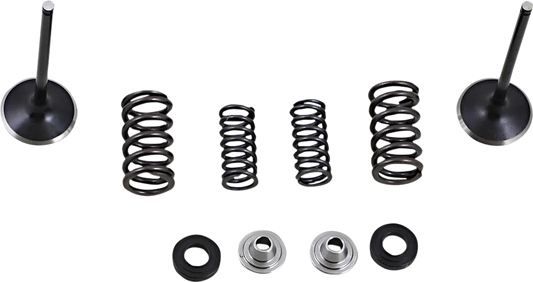 Intake Valve and Spring Kit