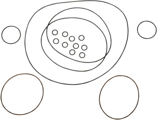 Cool Head Shells Replacement O-Ring Set