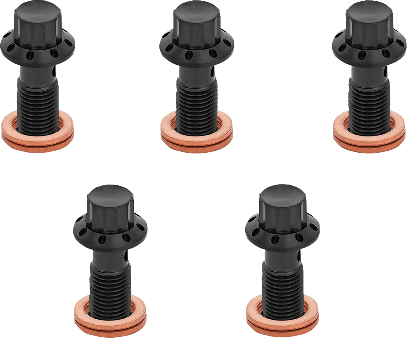 12-Point Titanium Banjo Bolts