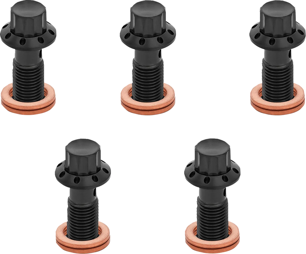 12-Point Titanium Banjo Bolts