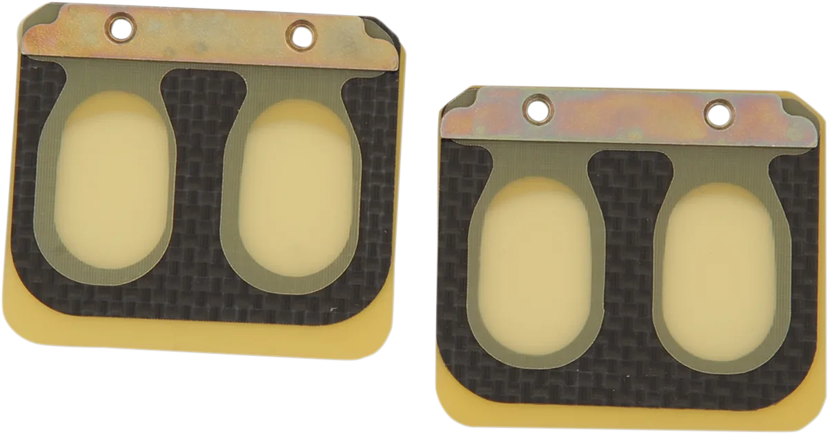 Replacement Pro Series Reed Set for RAD Valve
