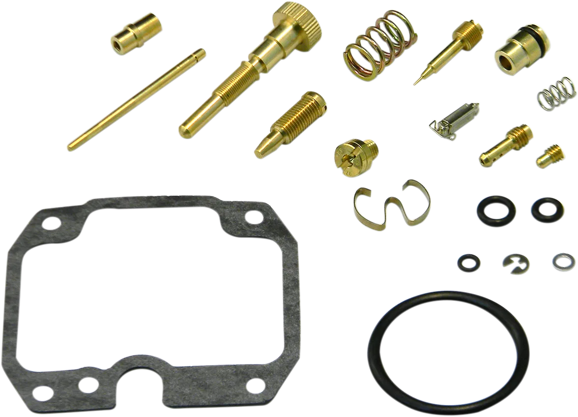 Carburetor Repair Kit