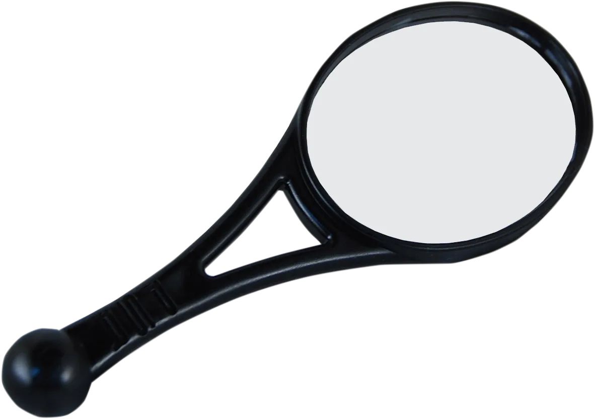 Dual-Sport Mirror