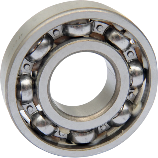 Counterbalance Shaft Bearing