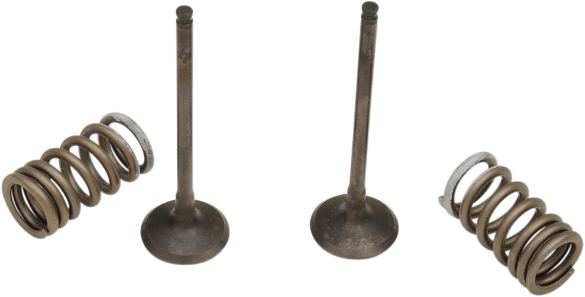 Valve and Spring Kit