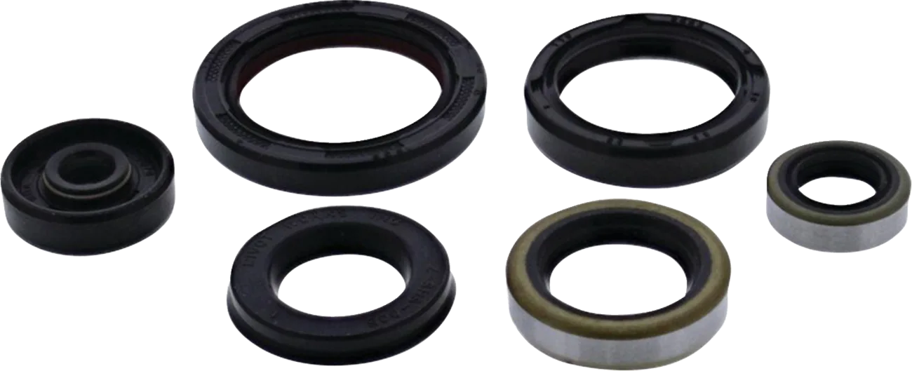 Engine Oil Seal Kit