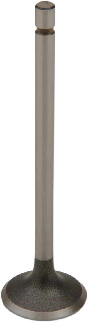 Engine Valve