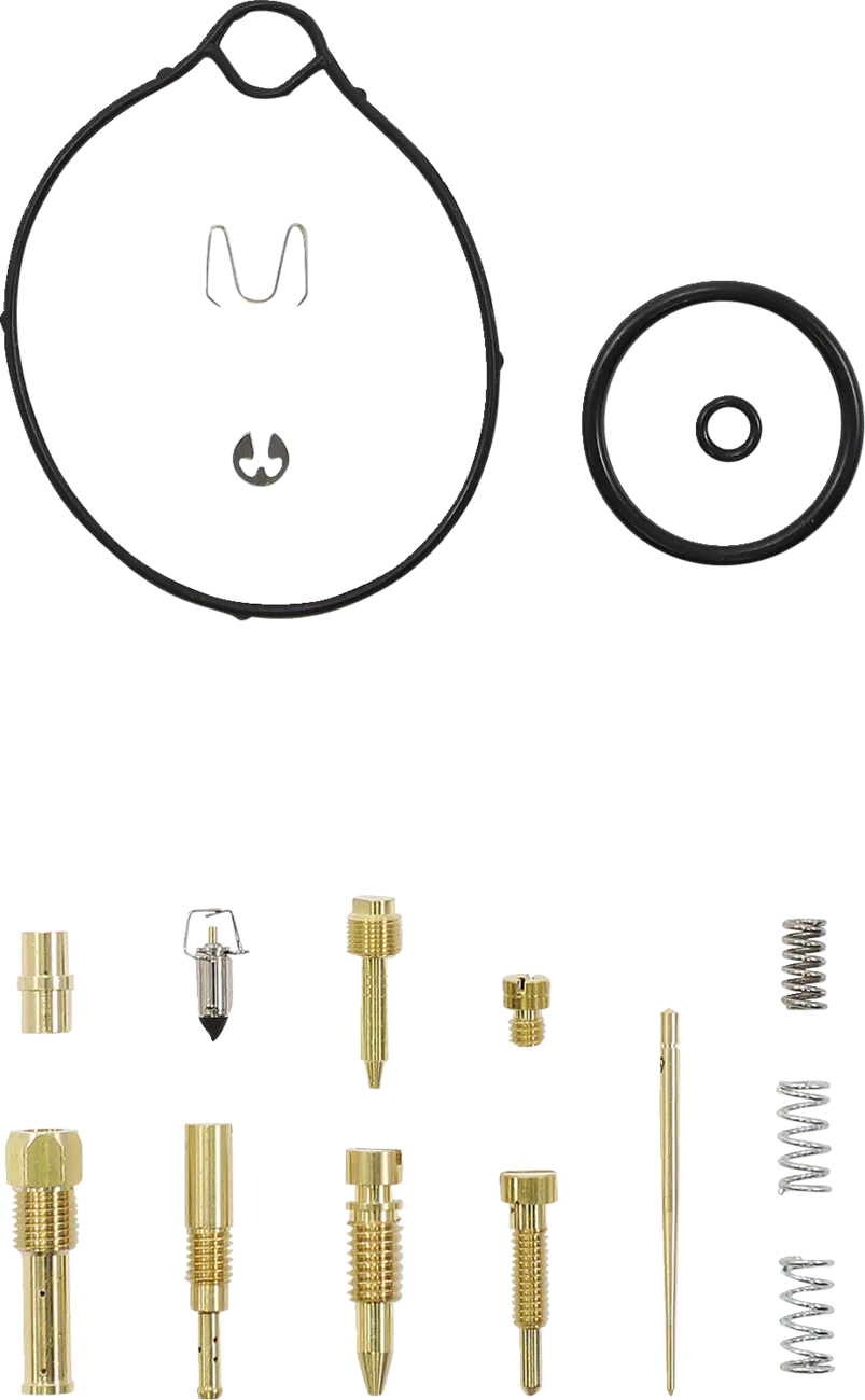 Carburetor Repair Kit