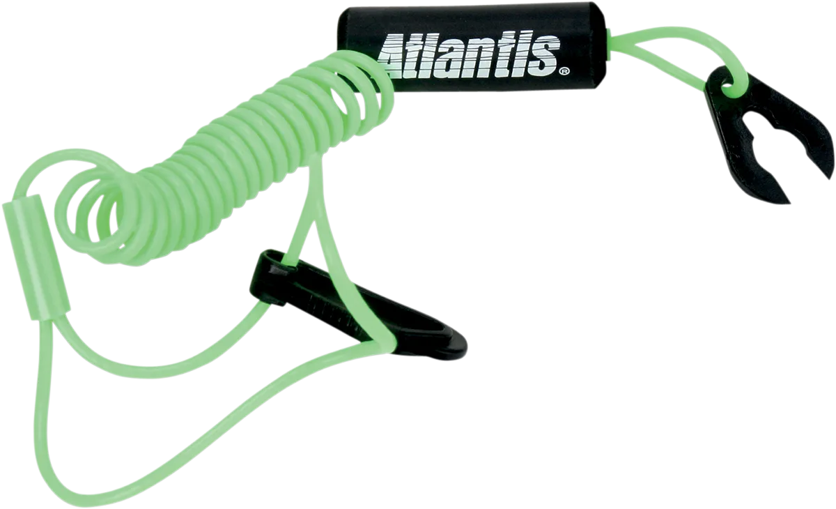 Lanyard